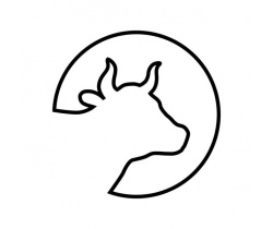 vache